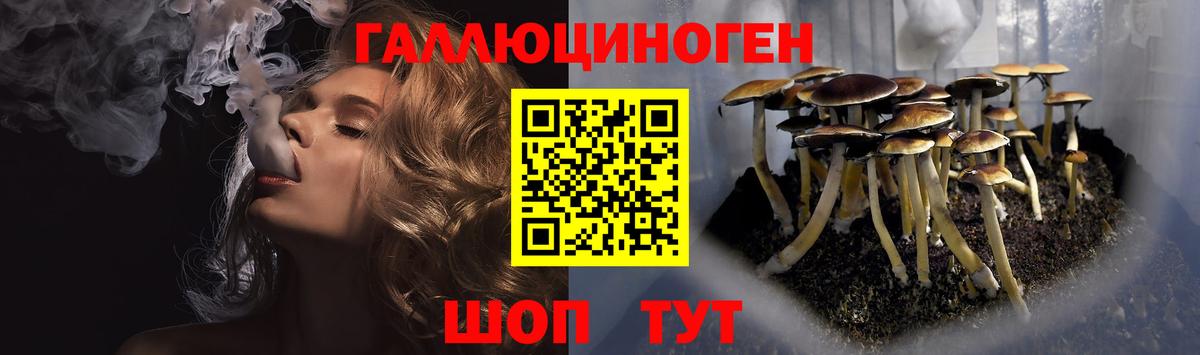 Галлюциногенные грибы мухоморы  Вход с VPN  Хабаровск  Галлюциногенные грибы мицелий 